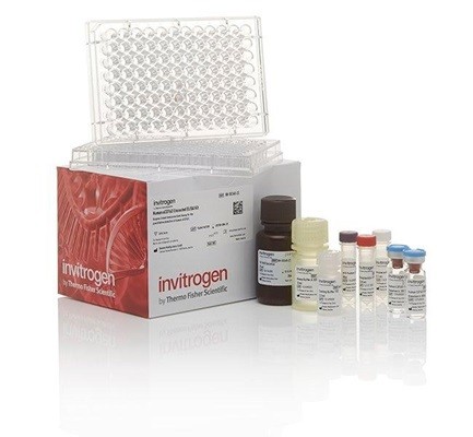 Mouse Th1/Th2 Uncoated ELISA Kit