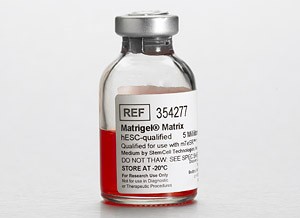Matrigel® 基质,适用于hESC,不含LDEV
