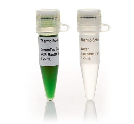 DreamTaq Green PCR Master Mix (2X)