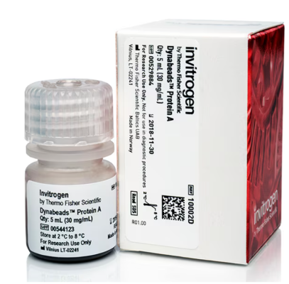 用于免疫沉淀的 Dynabeads™ 蛋白 A