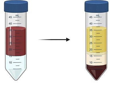 SepTube™-50mL密度梯度离心管